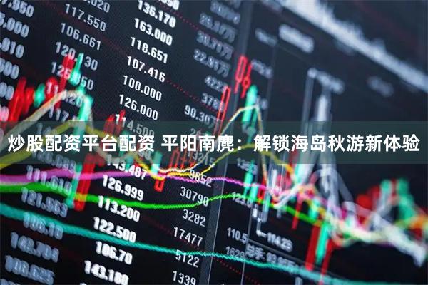 炒股配资平台配资 平阳南麂：解锁海岛秋游新体验